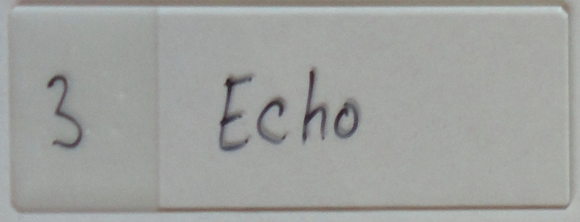 Featherly_0011_3 Echo