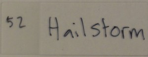 dinger__0004_52 hailstorm