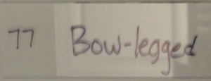 dinger__0007_77 bow legged